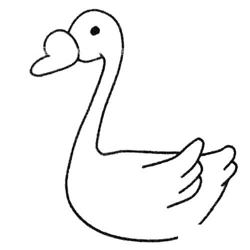 天鹅简笔画步骤4