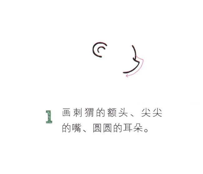 卡通刺猬简笔画图片