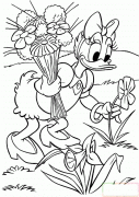 唐老鸭摘花简笔画