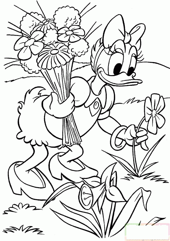 唐老鸭摘花简笔画