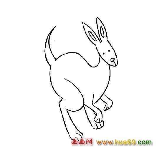袋鼠【动物简笔画】2