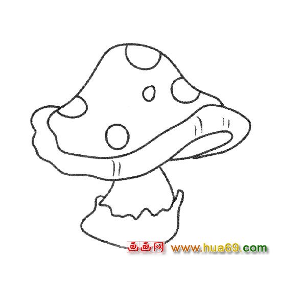 植物简笔画：洋蘑菇3