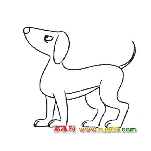 动物简笔画：小狗1