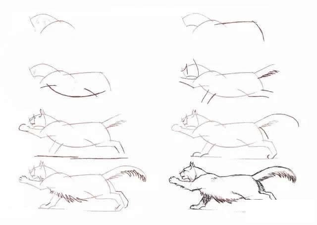 10种不同的小猫咪画法大全