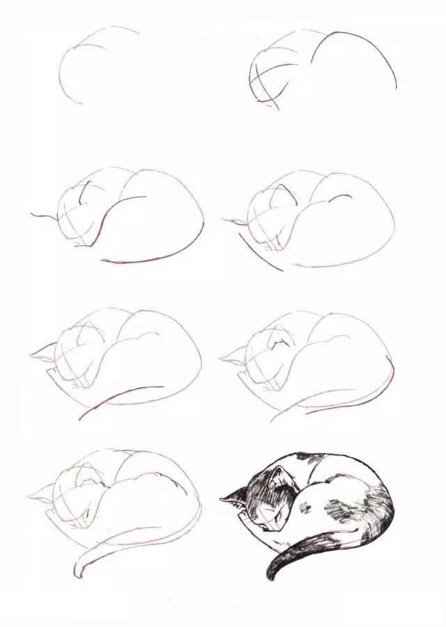 10种不同的小猫咪画法大全