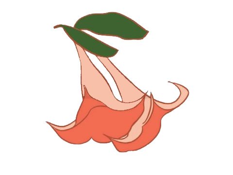 曼陀罗简笔画图片大全作品二