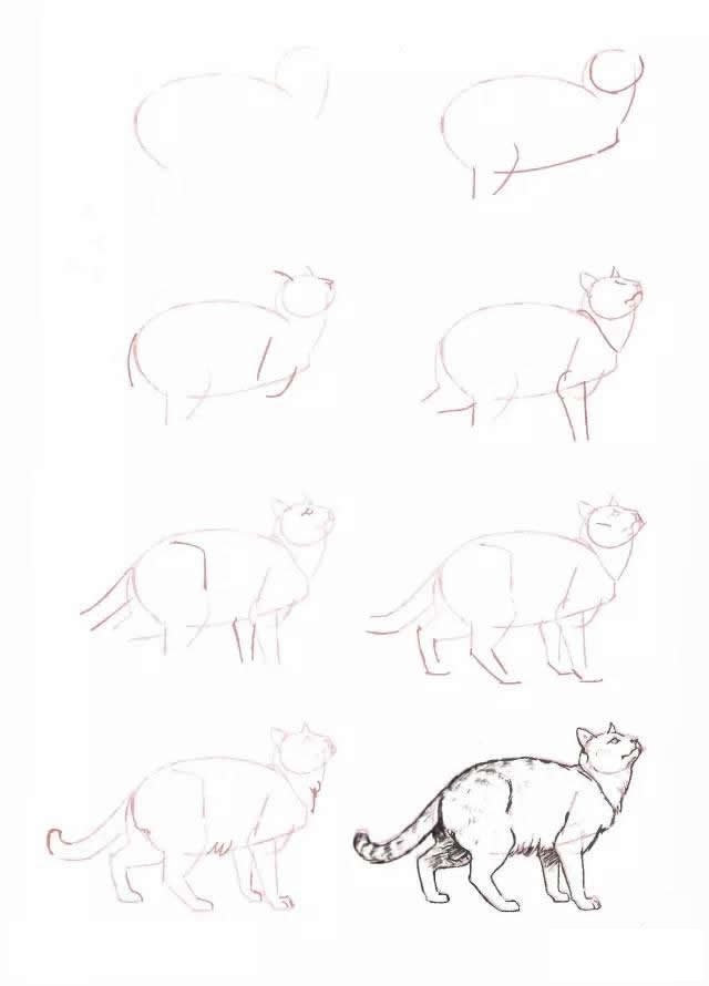 10种不同的小猫咪画法大全