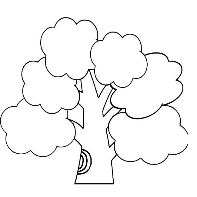 大树植物简笔画步骤图片大全