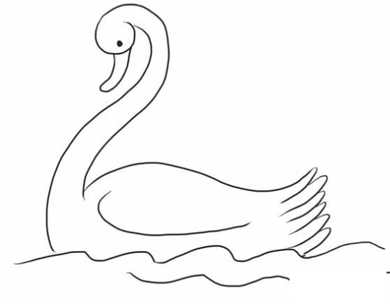 水中的白天鹅简笔画步骤图解