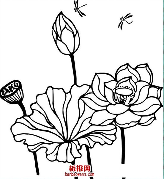 莲花简笔画