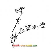 花卉简笔画：梅花开了