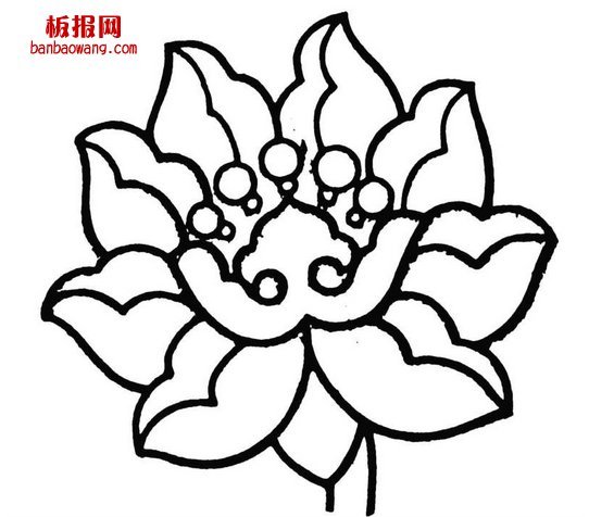 莲花简笔画