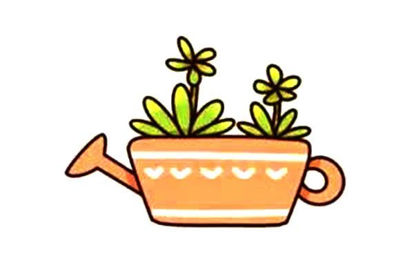 多肉植物简笔画步骤图