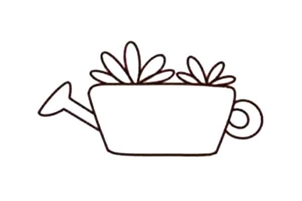 多肉植物简笔画步骤图