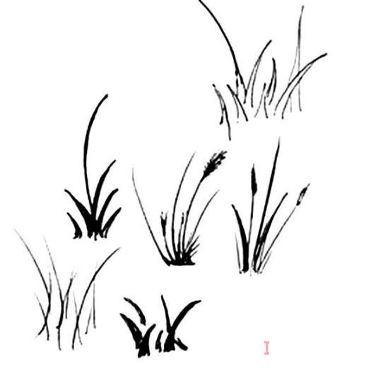 怎么画一棵小草简笔画图片简单好看