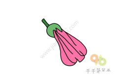 蜀葵简笔画图片