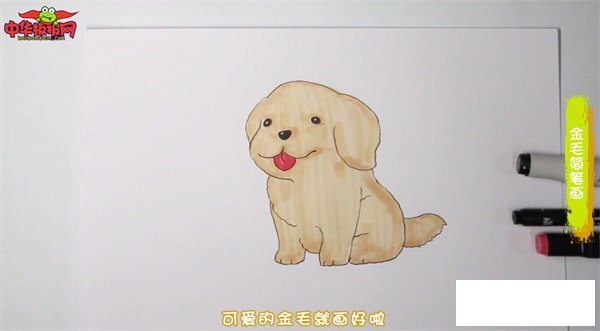 金毛简笔画