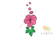 蜀葵简笔画图片大全