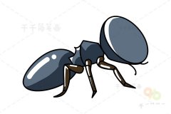滑翔蚁简笔画