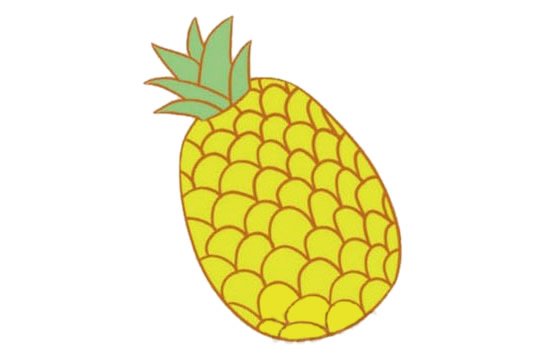 菠萝简笔画图片