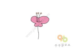 蝴蝶花简笔涂色画图片