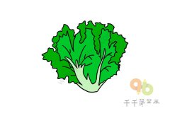 营养美味的生菜简笔画