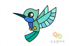 漂亮的蜂鸟简笔画步骤图