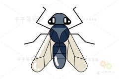 潜叶蝇简笔画怎么画