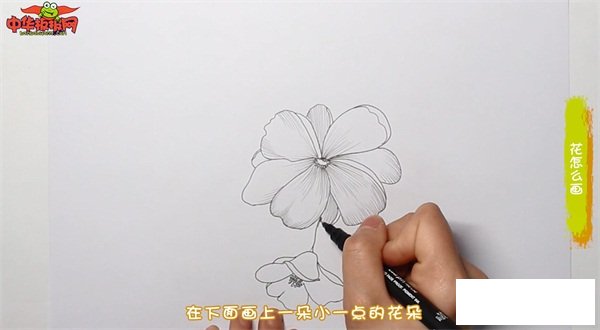 花怎么画