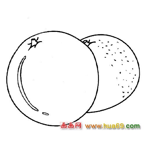 水果简笔画：柑橘1