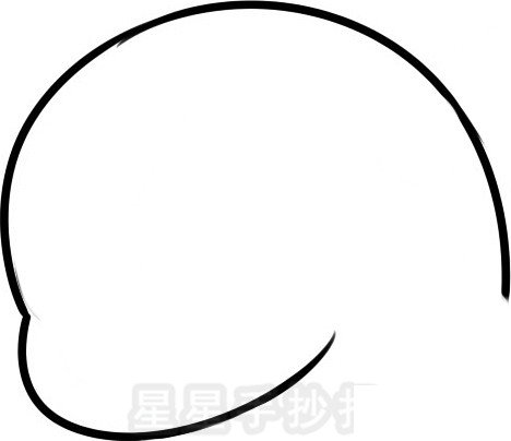大鲵简笔画