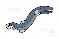 中国小鲵简笔画图片