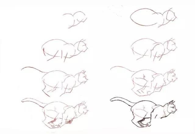 10种不同的小猫咪画法大全