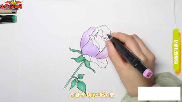 玫瑰花简笔画