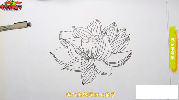 荷花简笔画