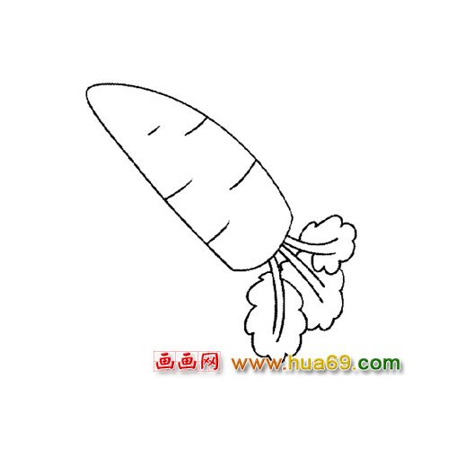 好吃的萝卜（简笔画）3