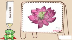 荷花简笔画