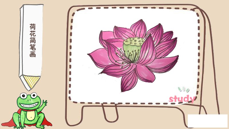 荷花简笔画