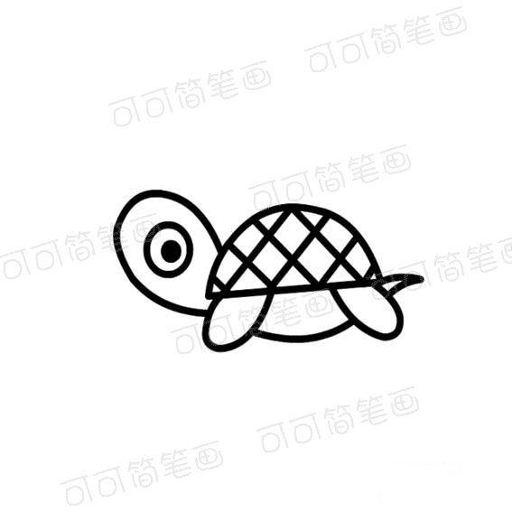 小乌龟的简笔画法