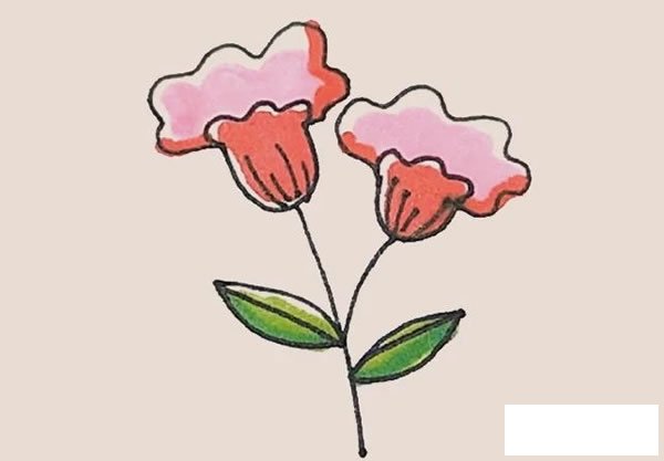 鸡冠花简笔画的画法步骤图