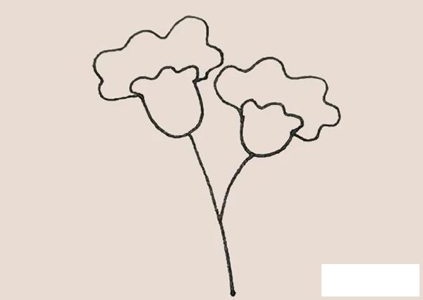 鸡冠花简笔画的画法步骤图