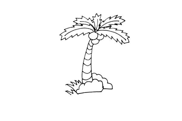 椰子树简笔画步骤图