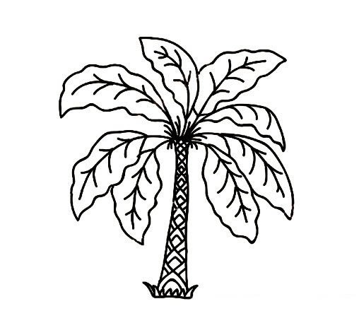 树木简笔画图片大全