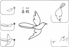 幼儿喜鹊的简笔画怎么画