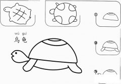 幼儿乌龟怎么画简笔画图片