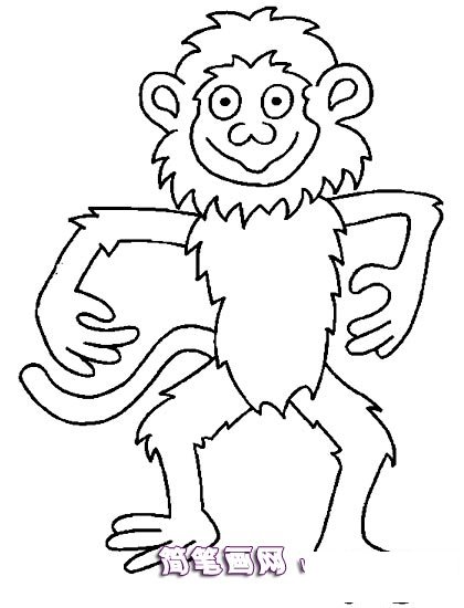 做操的小猴子简笔画