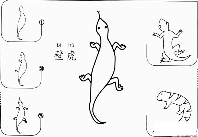 【壁虎怎么画】幼儿壁虎怎么画简笔画步骤图片