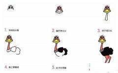 儿童关于鸵鸟的简笔画画法教程：如何画鸵鸟