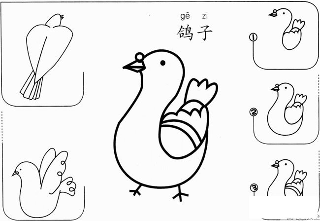 【简单的鸽子怎么画】怎么画鸽子简单步骤图教程