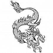 中国龙动物简笔画步骤图片大全